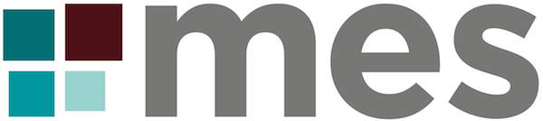 mes logo L